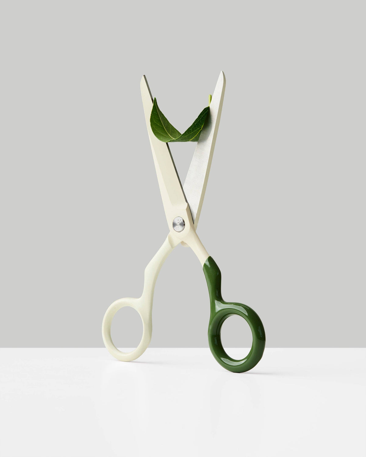 Spectra Scissors