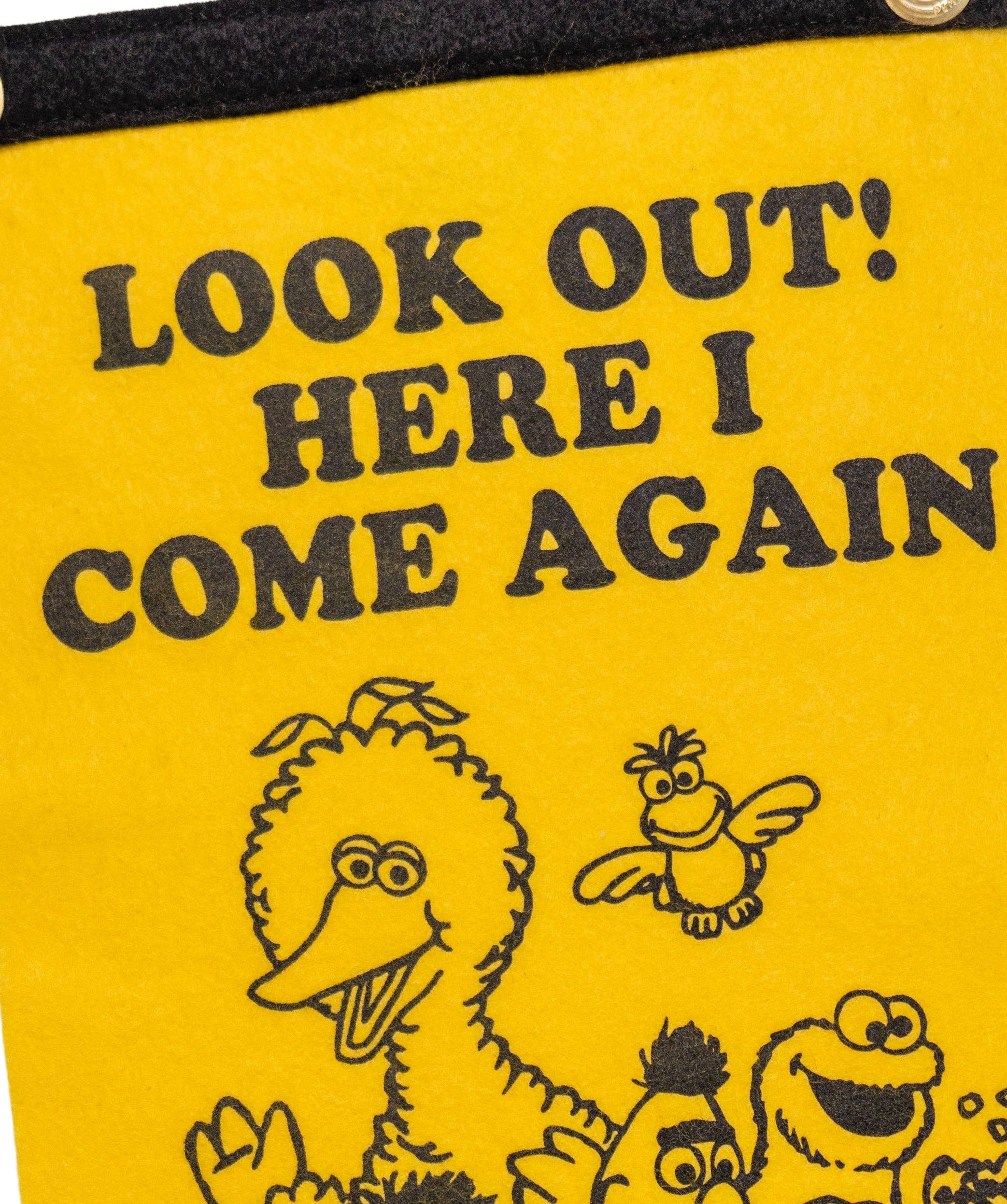 Look Out! Here I Come Again Scout Flag • Wilco x Sesame Street x Oxford Pennant