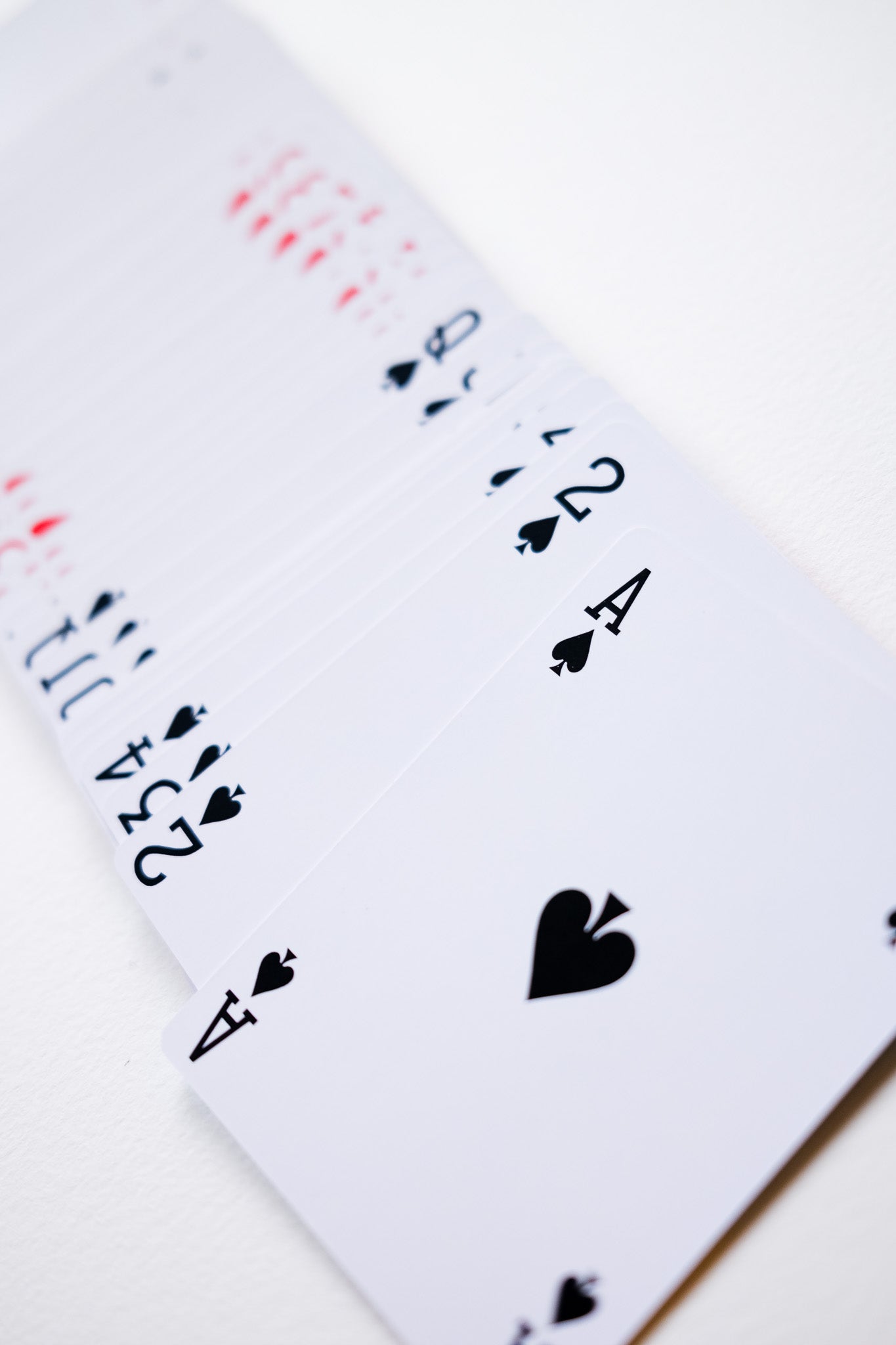 BDF 2025 Playing Cards