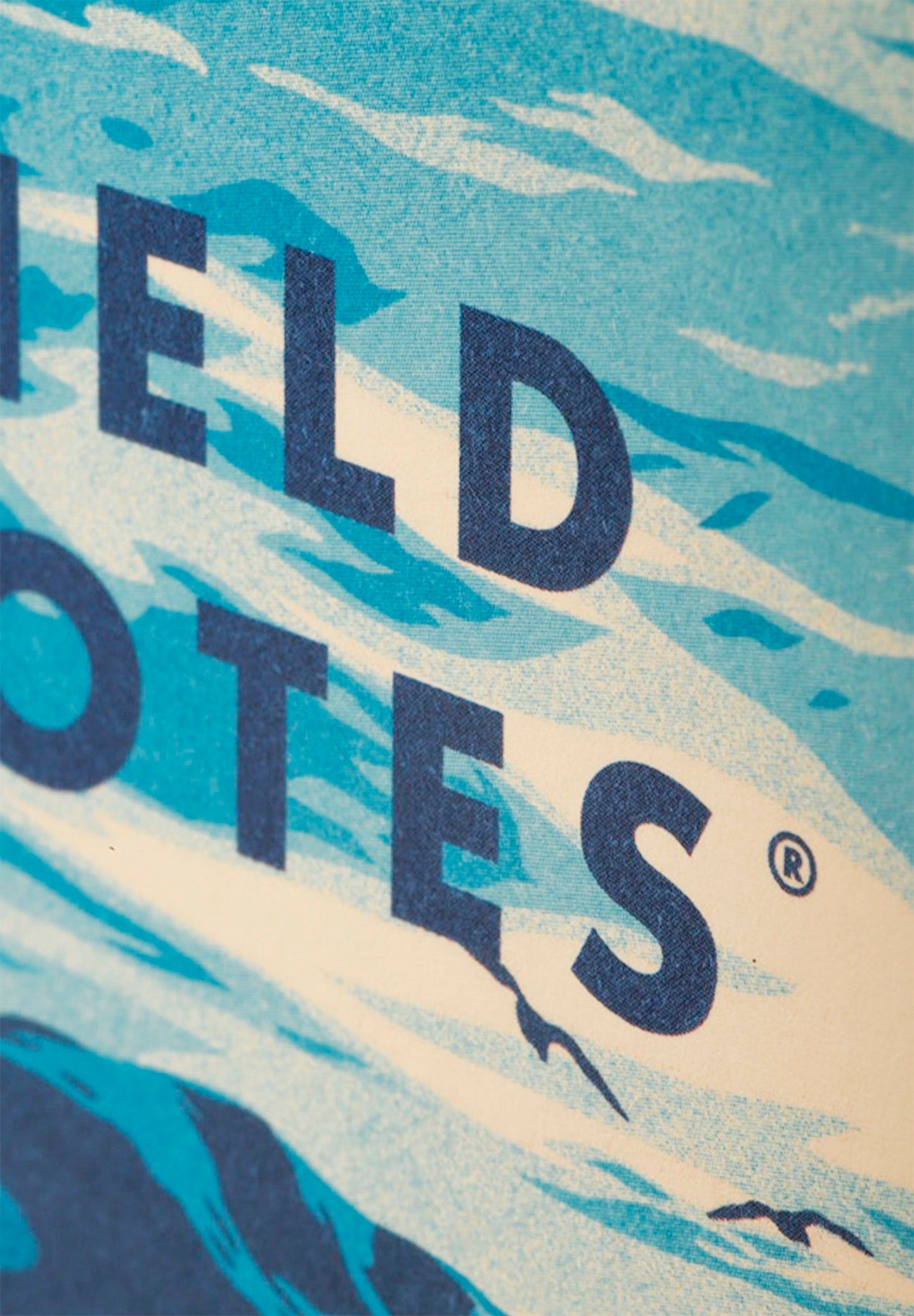 Field Notes: Explore America