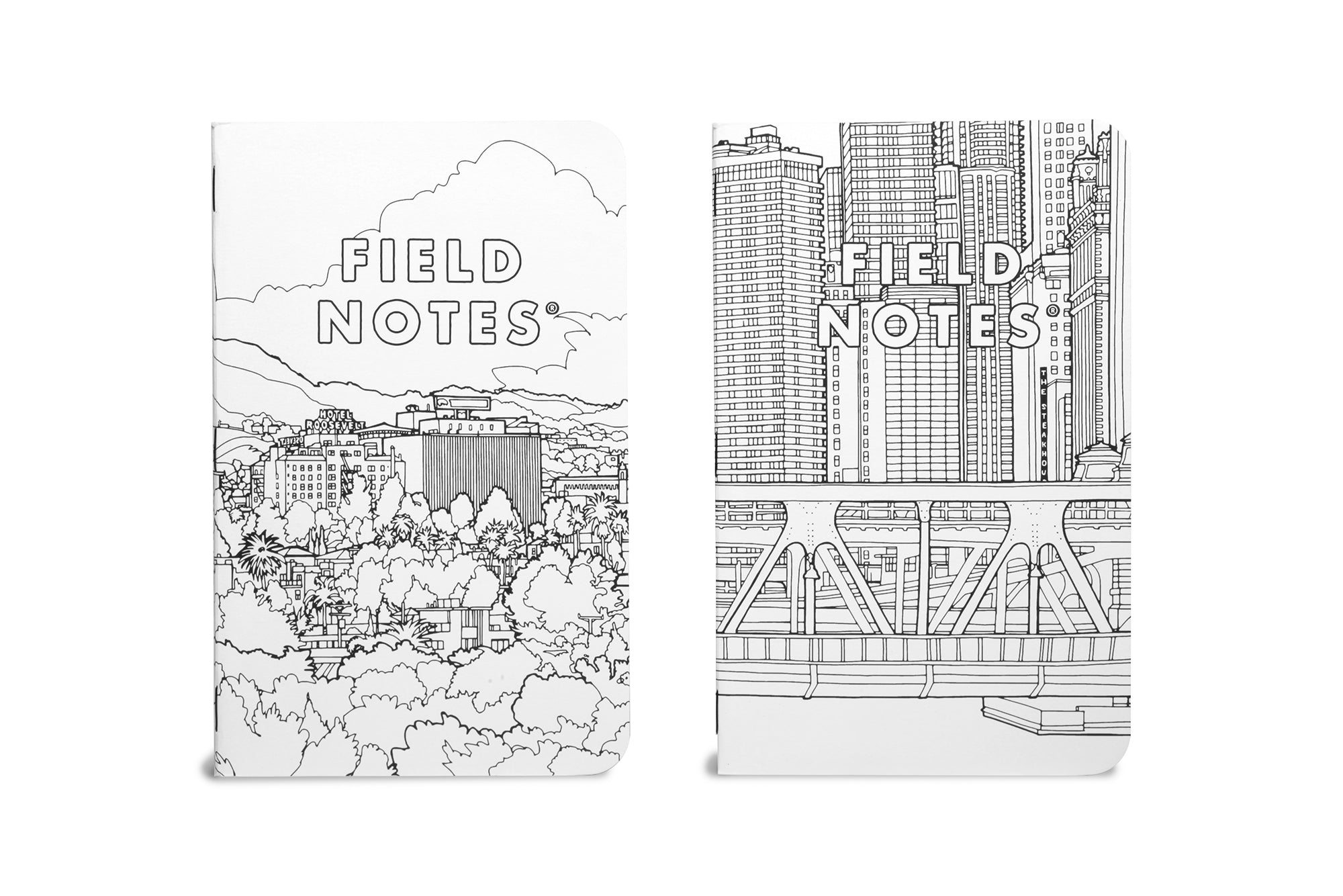 Field Notes: Screetscapes Sketchbook 2-Pack