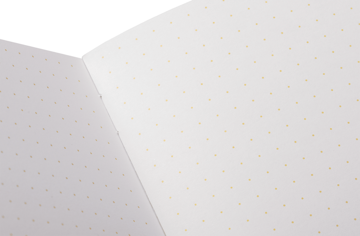Field Notes: Paletas