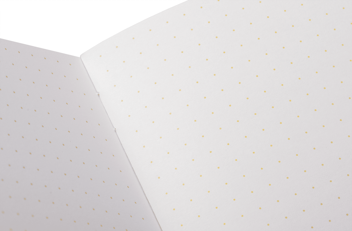 Field Notes: Paletas