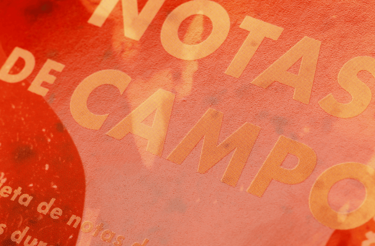 Field Notes: Paletas