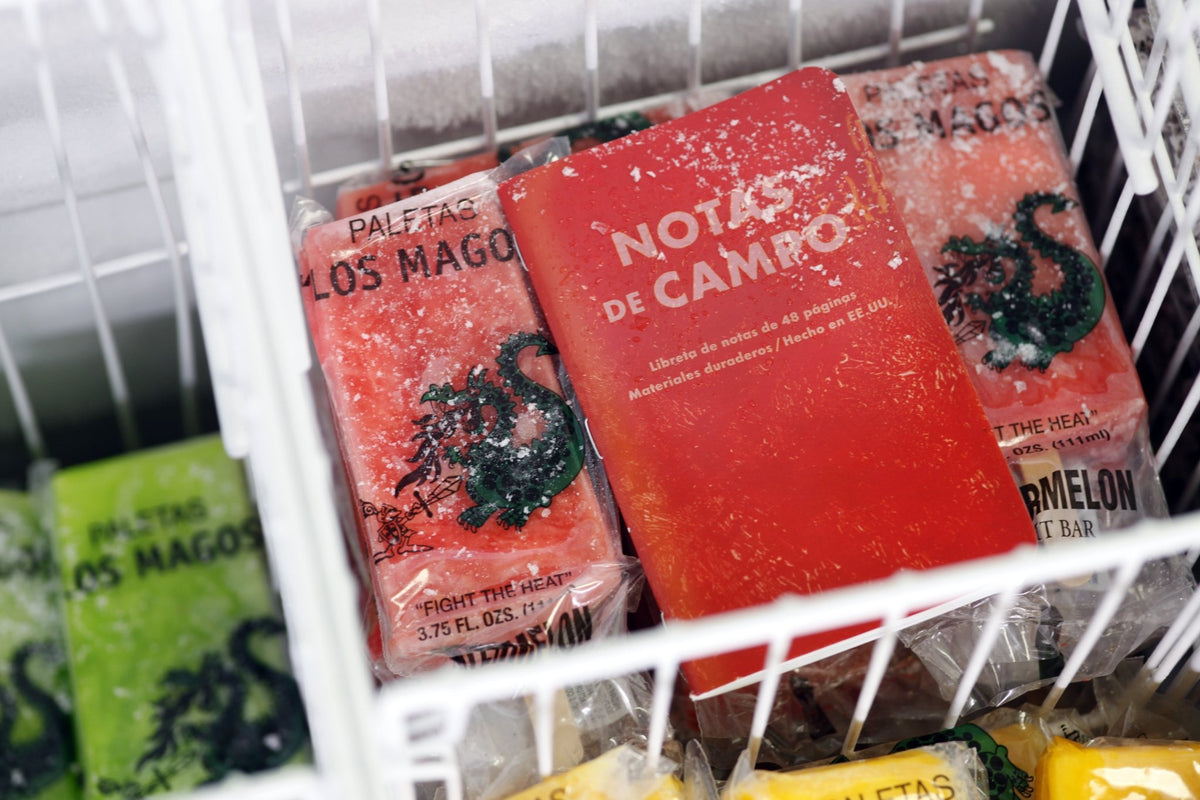 Field Notes: Paletas