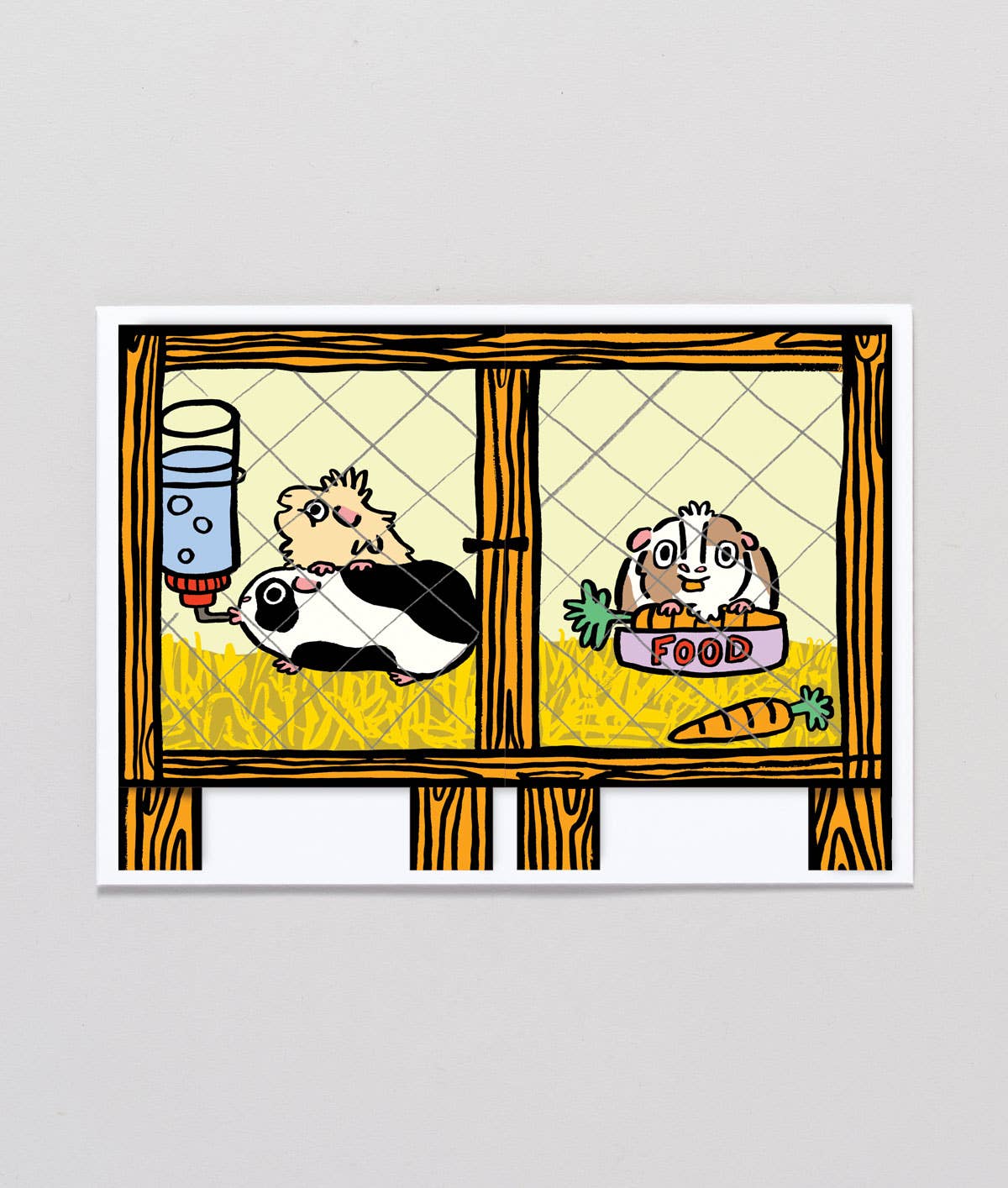 Guinea Pig Surprise Fold Out Kid's Birthday Card