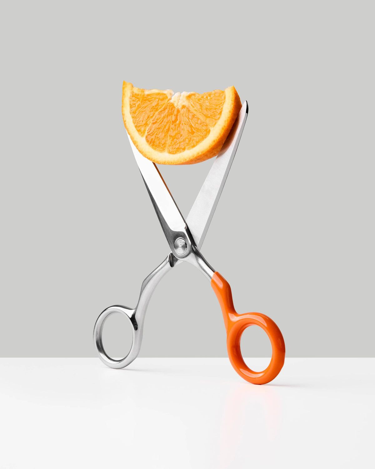 Spectra Scissors