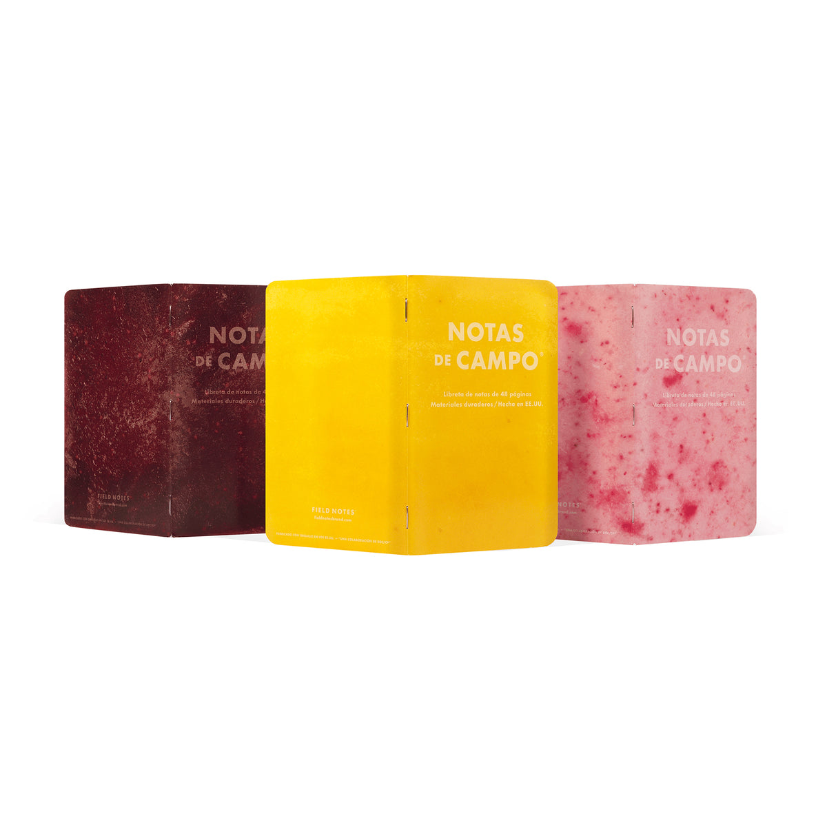 Field Notes: Paletas