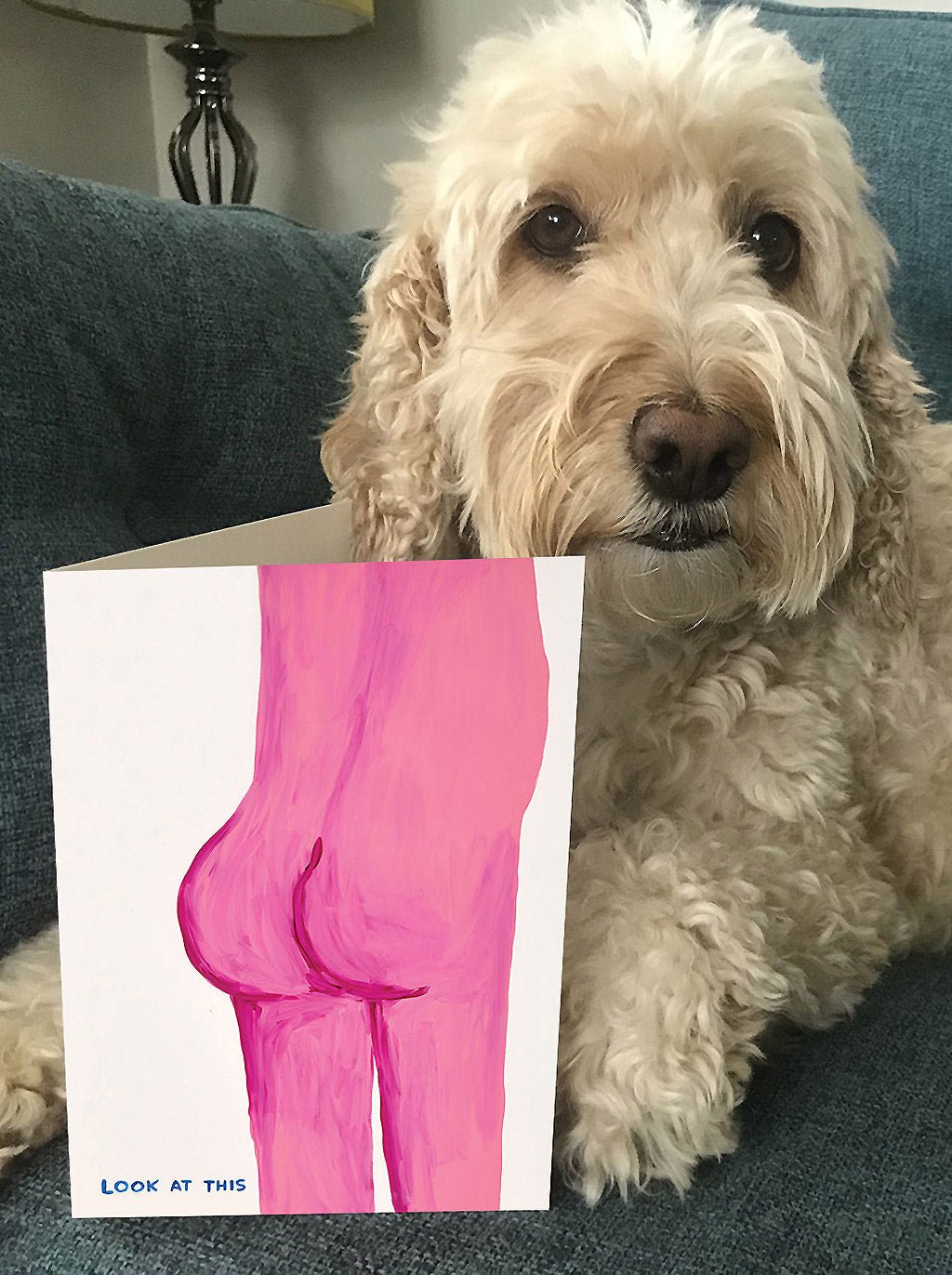 Look At This Bum David Shrigley Card