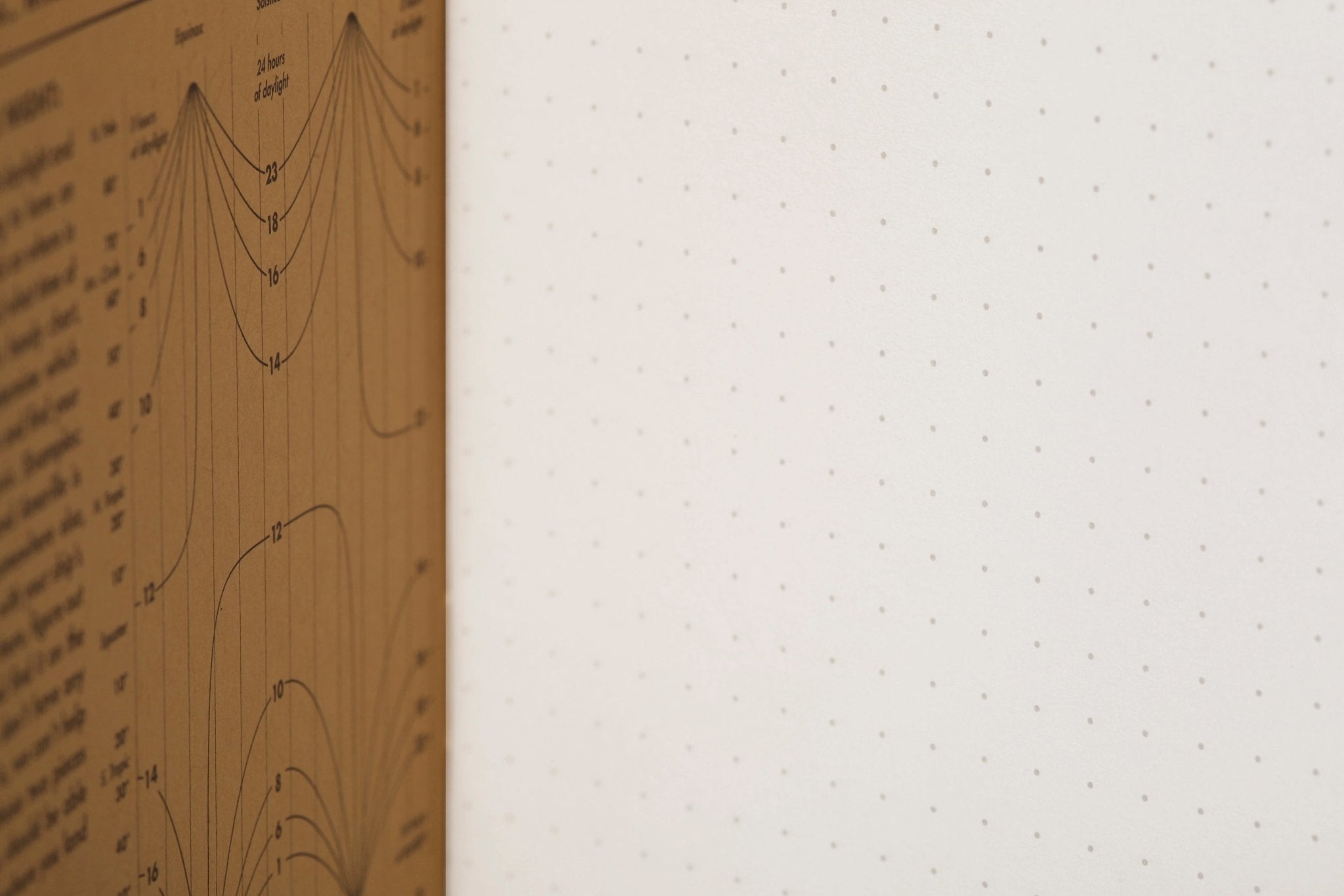 Field Notes: Pitch Black