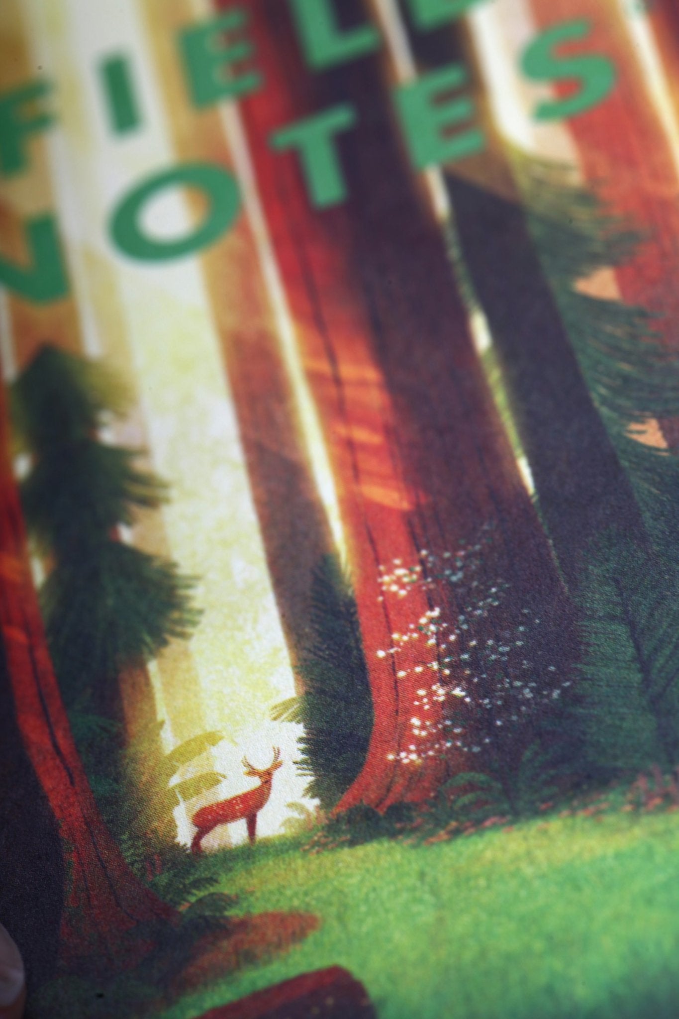 Field Notes: National Parks Series