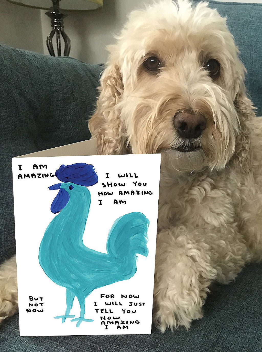 I Am Amazing David Shrigley Card