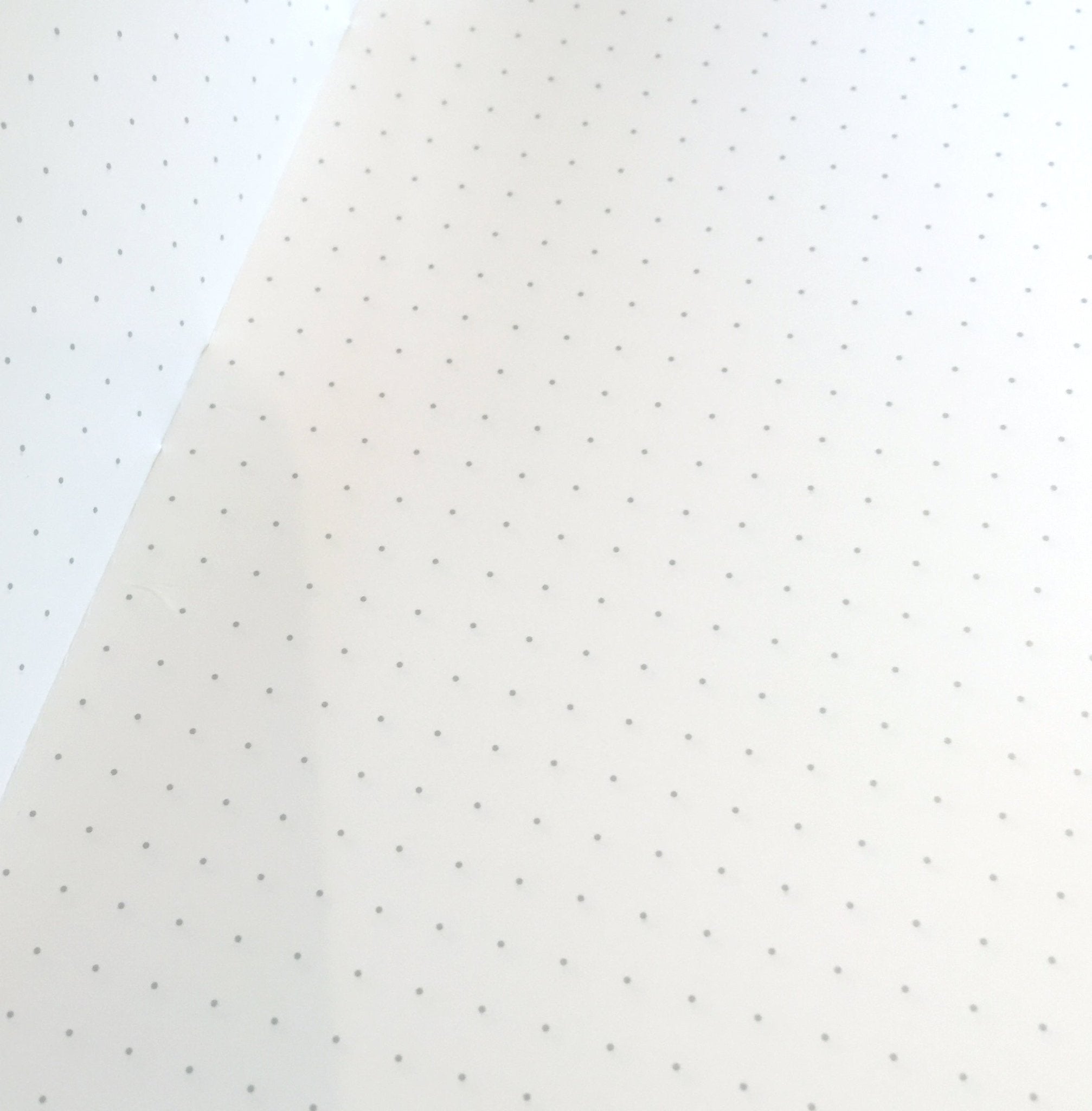 Field Notes: Expedition