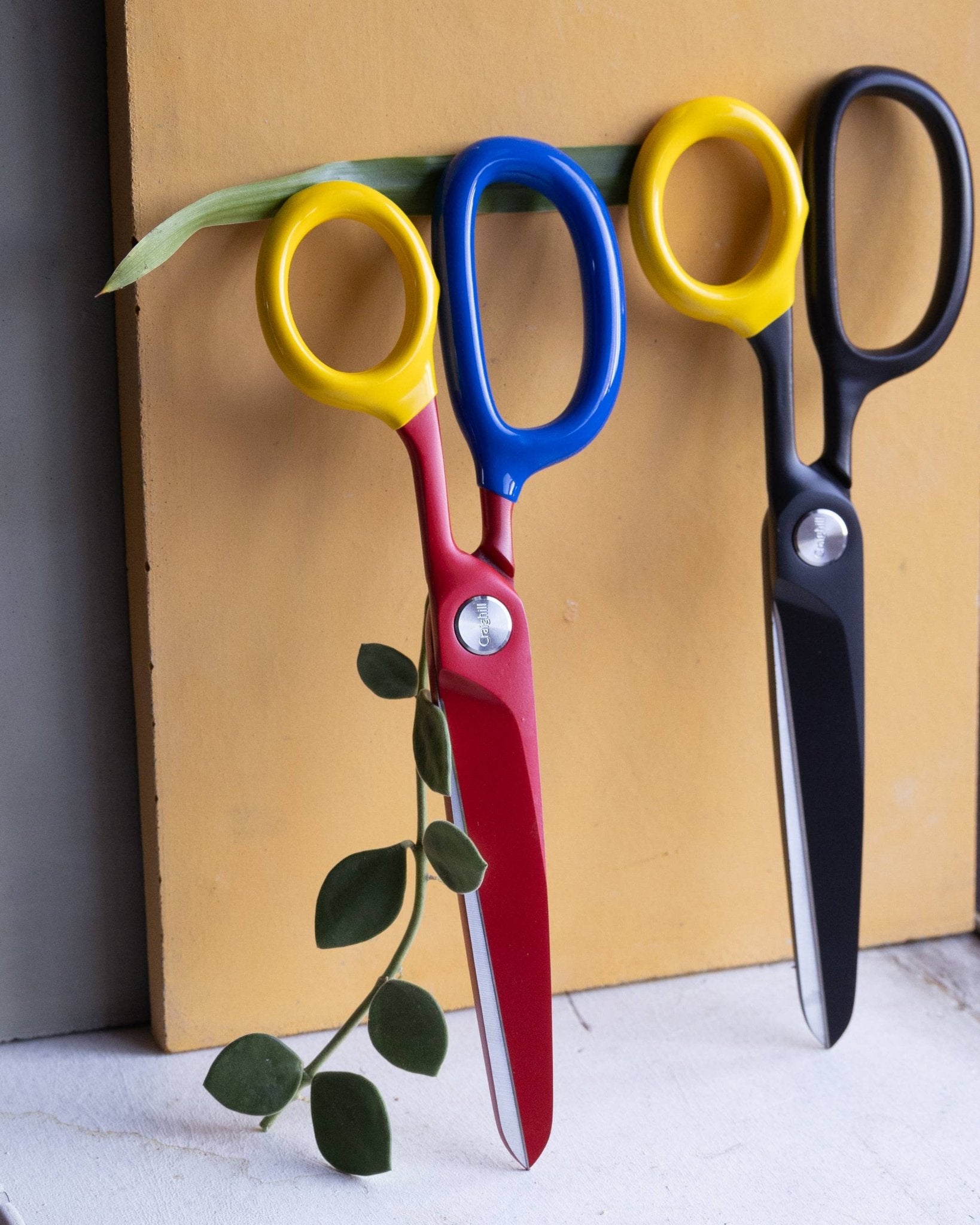 Chroma Scissors: Multi-Colored