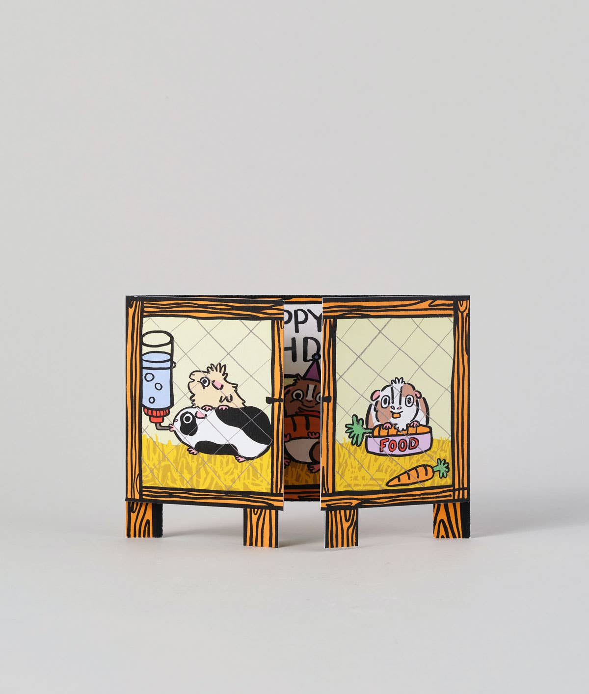 Guinea Pig Surprise Fold Out Kid's Birthday Card