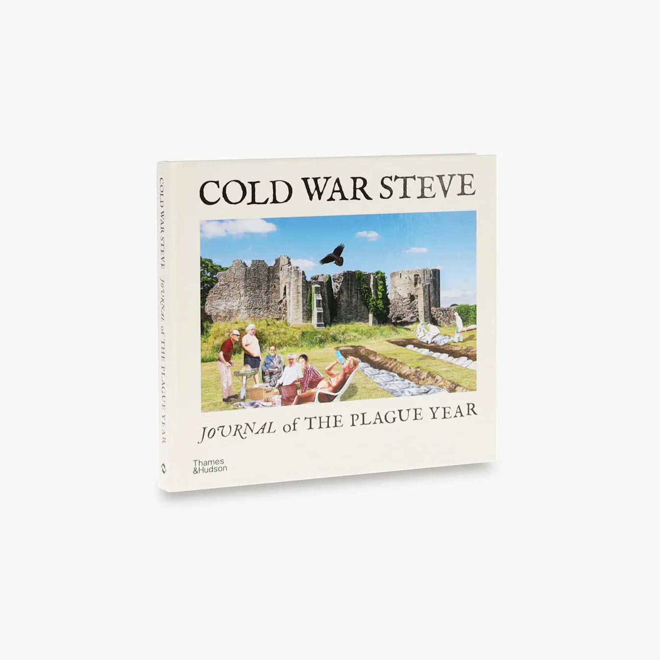 Cold War Steve – Journal of The Plague Year