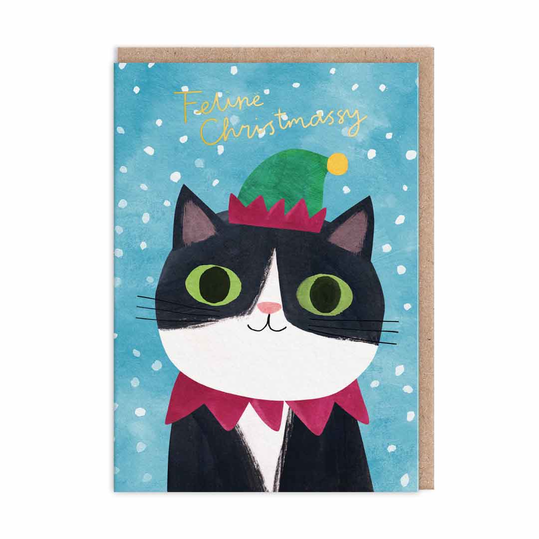 Cats In Hats Christmas Card Pack