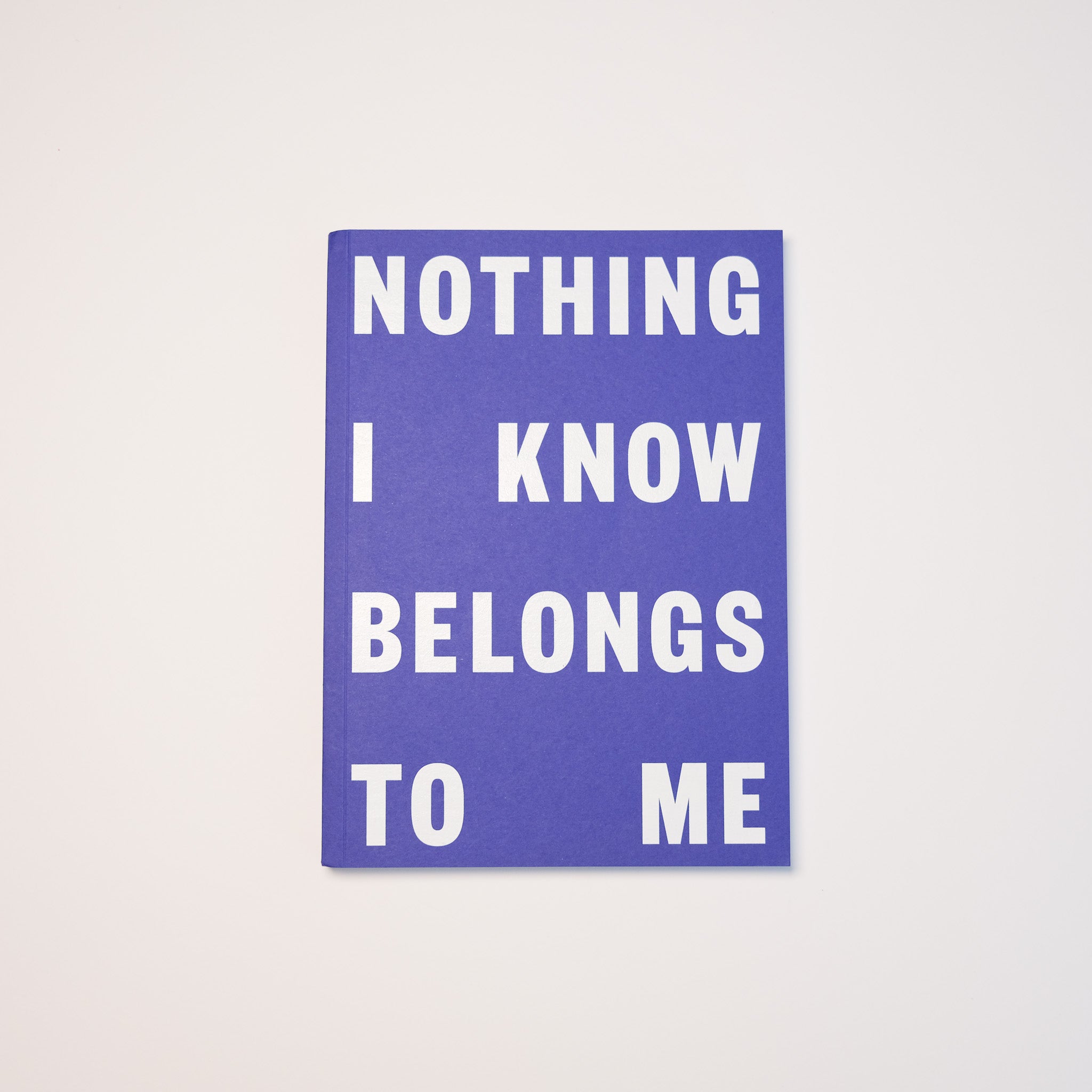 Nothing I Know Belongs To Me