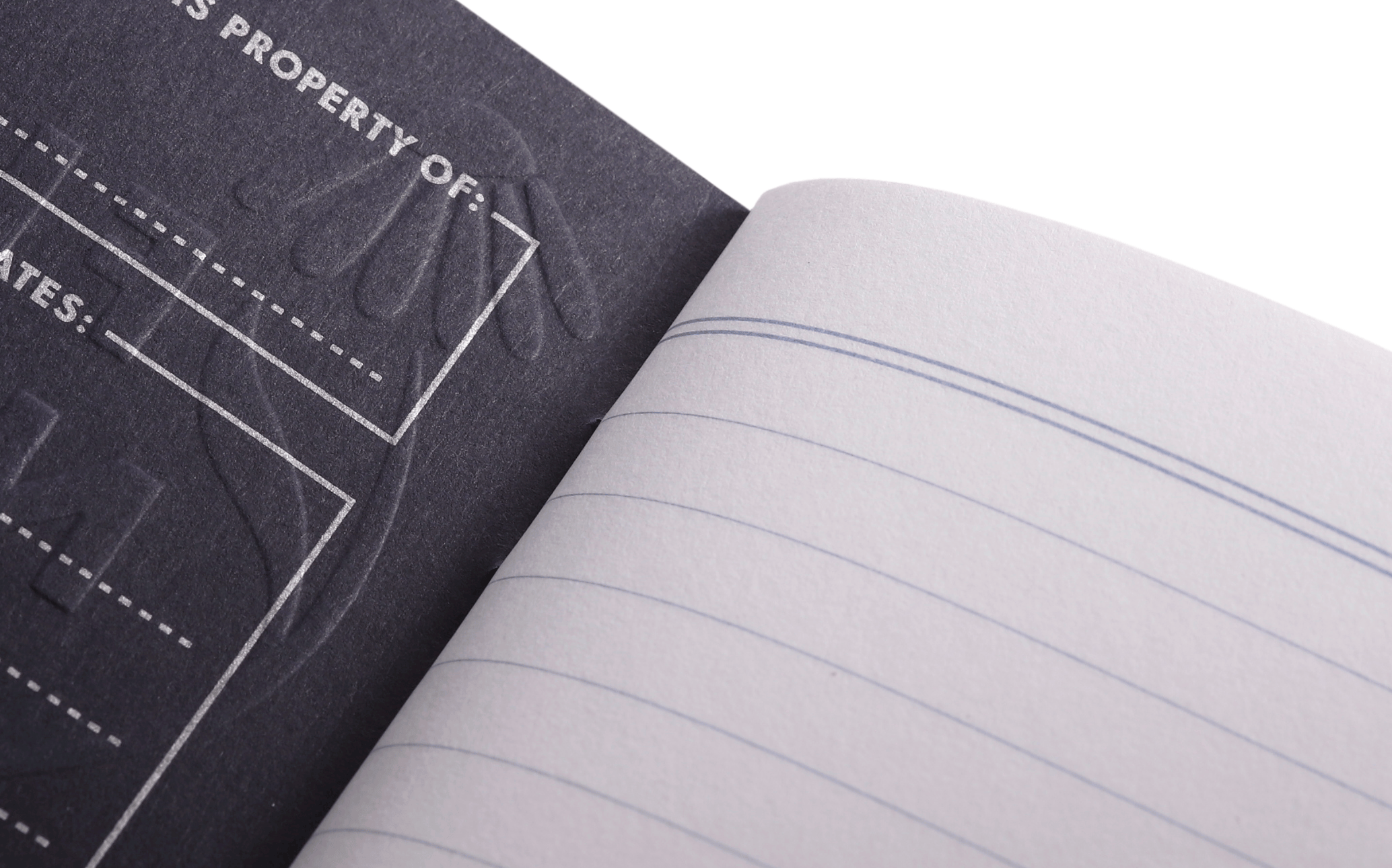 Field Notes: Fall Flowers