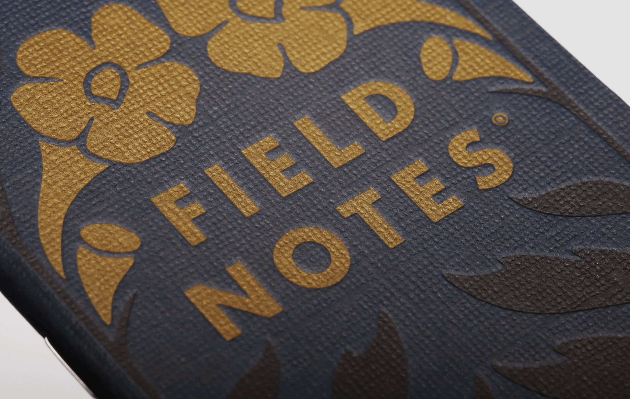 Field Notes: Fall Flowers