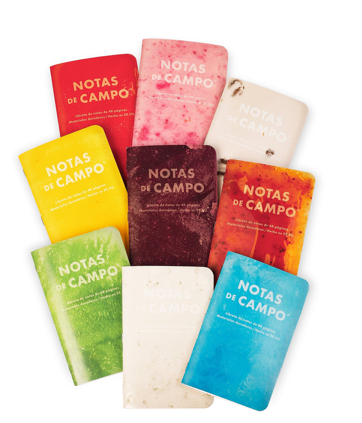 Field Notes: Paletas