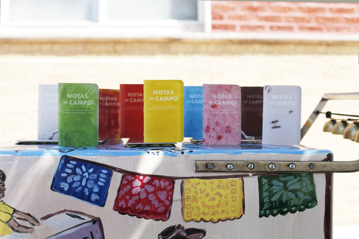 Field Notes: Paletas