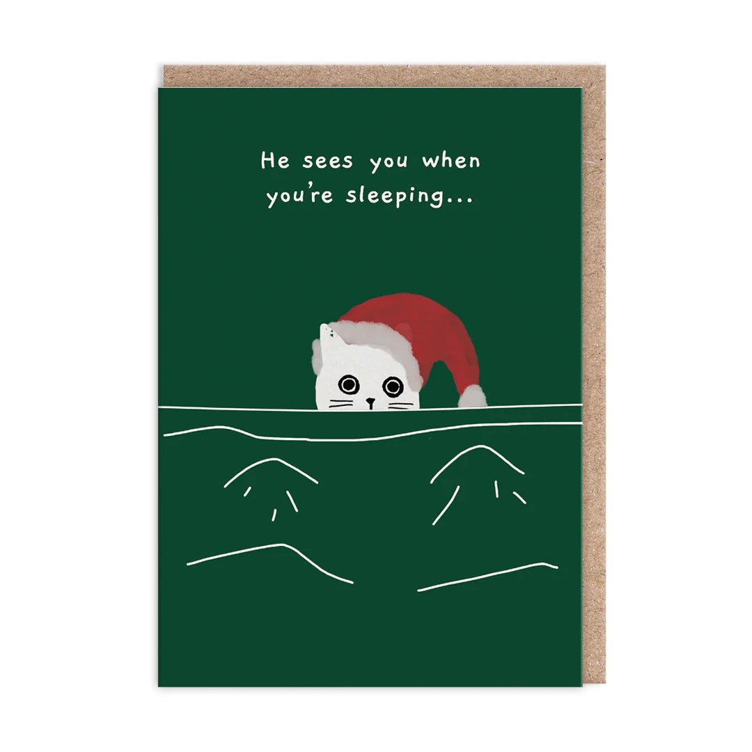 He Sees You When You're Sleeping Cat Christmas Card