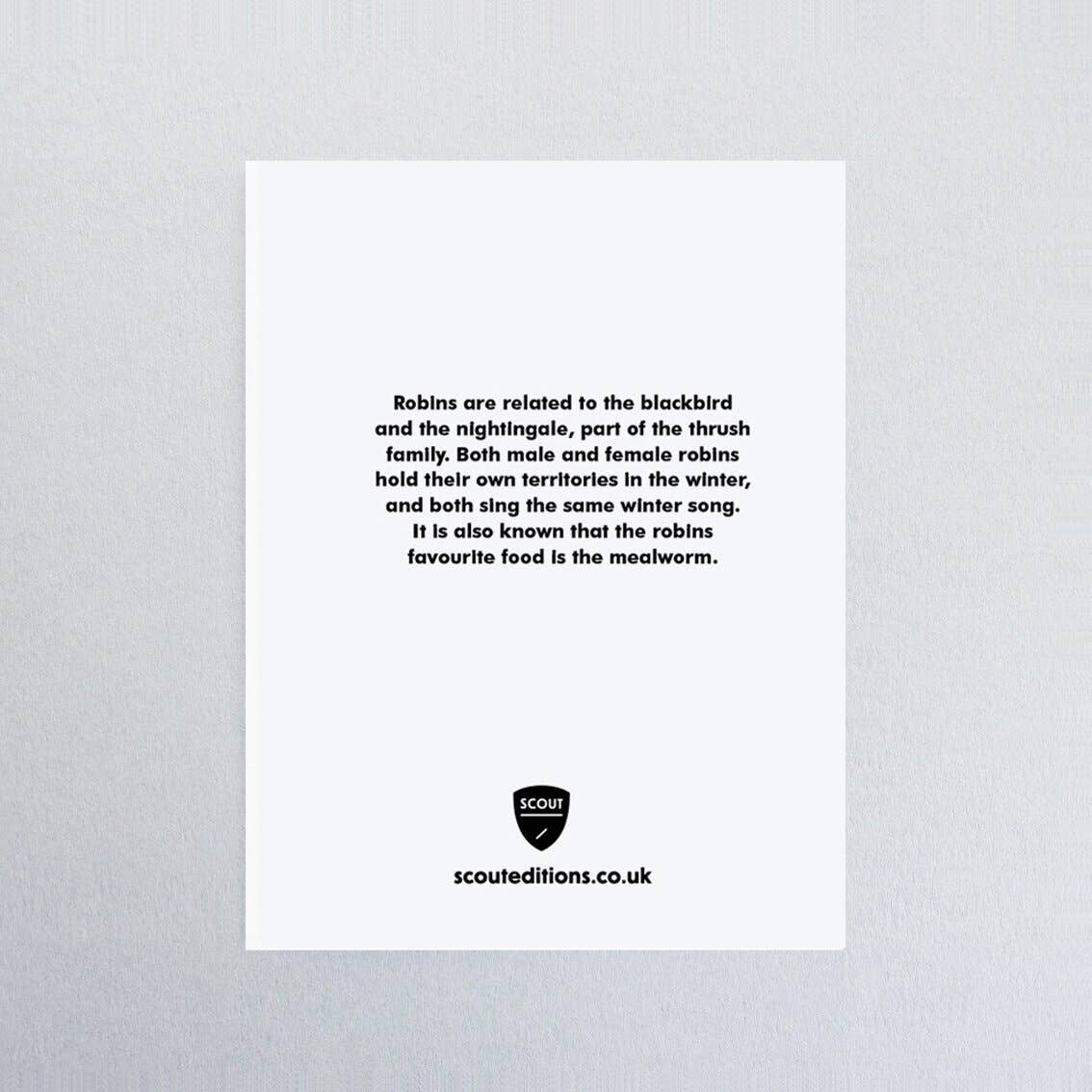 Robin Mini Card