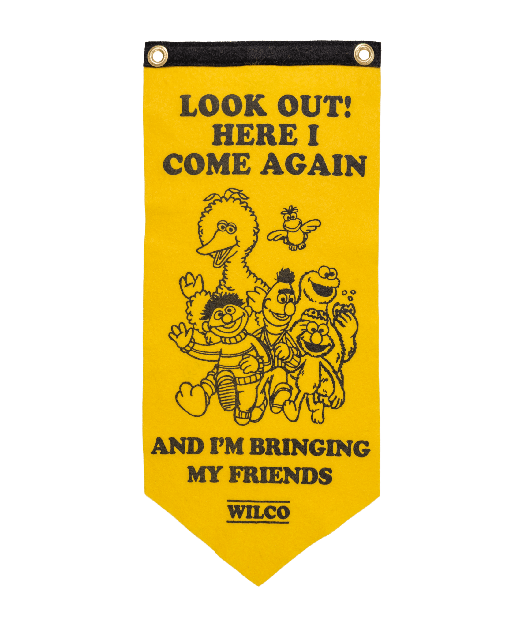 Look Out! Here I Come Again Scout Flag • Wilco x Sesame Street x Oxford Pennant